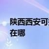 陕西西安可提供SKG电压力锅维修服务地址在哪