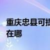 重庆忠县可提供小助手电压力锅维修服务地址在哪