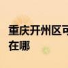 重庆开州区可提供创迪电压力锅维修服务地址在哪