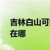 吉林白山可提供SKG电压力锅维修服务地址在哪