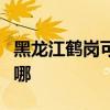 黑龙江鹤岗可提供华帝燃气灶维修服务地址在哪