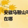 安徽马鞍山可提供TCL电压力锅维修服务地址在哪