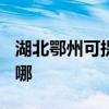 湖北鄂州可提供TCL电压力锅维修服务地址在哪