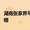 湖南张家界可提供海尔燃气灶维修服务地址在哪