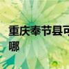 重庆奉节县可提供康宝燃气灶维修服务地址在哪