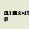 四川自贡可提供苏泊尔燃气灶维修服务地址在哪
