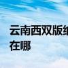 云南西双版纳可提供TCL燃气灶维修服务地址在哪