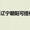 辽宁朝阳可提供樱花燃气灶维修服务地址在哪