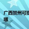 广西贺州可提供苏泊尔燃气灶维修服务地址在哪