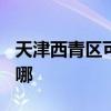 天津西青区可提供TCL燃气灶维修服务地址在哪
