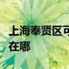 上海奉贤区可提供苏泊尔燃气灶维修服务地址在哪