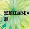 黑龙江绥化可提供德意燃气灶维修服务地址在哪