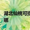 湖北仙桃可提供格兰仕燃气灶维修服务地址在哪