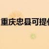 重庆忠县可提供长虹燃气灶维修服务地址在哪