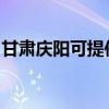 甘肃庆阳可提供长虹燃气灶维修服务地址在哪