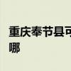 重庆奉节县可提供德意燃气灶维修服务地址在哪