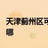 天津蓟州区可提供九阳燃气灶维修服务地址在哪