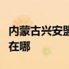 内蒙古兴安盟可提供德意燃气灶维修服务地址在哪