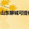 山东聊城可提供统帅热水器维修服务地址在哪