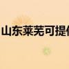 山东莱芜可提供万和热水器维修服务地址在哪