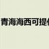青海海西可提供统帅热水器维修服务地址在哪