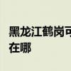 黑龙江鹤岗可提供西门子热水器维修服务地址在哪