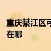 重庆綦江区可提供斯狄渢热水器维修服务地址在哪