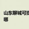 山东聊城可提供斯狄渢热水器维修服务地址在哪
