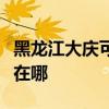 黑龙江大庆可提供澳柯玛热水器维修服务地址在哪