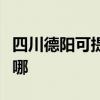 四川德阳可提供赛德隆热水器维修服务地址在哪