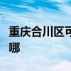 重庆合川区可提供申花热水器维修服务地址在哪