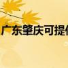 广东肇庆可提供欧科豆浆机维修服务地址在哪