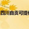 四川自贡可提供康佳电水壶维修服务地址在哪