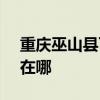 重庆巫山县可提供SKG电水壶维修服务地址在哪