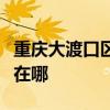 重庆大渡口区可提供罗格热水器维修服务地址在哪