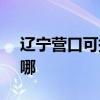辽宁营口可提供SKG电水壶维修服务地址在哪