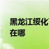 黑龙江绥化可提供SKG咖啡机维修服务地址在哪