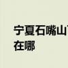 宁夏石嘴山可提供SKG咖啡机维修服务地址在哪