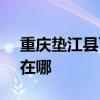 重庆垫江县可提供SKG咖啡机维修服务地址在哪