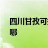 四川甘孜可提供SKG咖啡机维修服务地址在哪