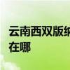 云南西双版纳可提供东菱咖啡机维修服务地址在哪