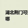 湖北荆门可提供ACA电烤箱维修服务地址在哪