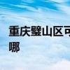 重庆璧山区可提供东菱电烤箱维修服务地址在哪
