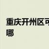 重庆开州区可提供德龙电烤箱维修服务地址在哪