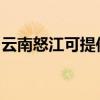 云南怒江可提供东菱面包机维修服务地址在哪
