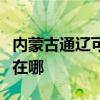 内蒙古通辽可提供飞利浦电烤箱维修服务地址在哪