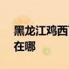 黑龙江鸡西可提供SKG电烤箱维修服务地址在哪