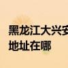 黑龙江大兴安岭可提供荣事达电烤箱维修服务地址在哪
