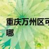 重庆万州区可提供帅康电烤箱维修服务地址在哪