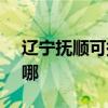 辽宁抚顺可提供SKG电烤箱维修服务地址在哪